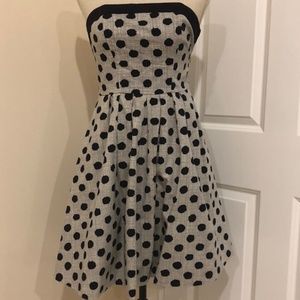 The Limited Dress - Gray w/Purple Polka Dots